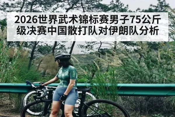 2026世界武术锦标赛男子75公斤级决赛中国散打队对伊朗队分析